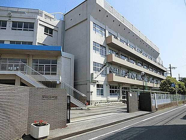 市川市立幸小学校（約18m）