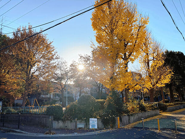 都島公園(約473m)