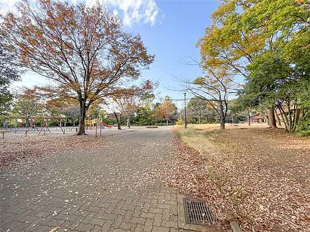 綱島公園（約155m）