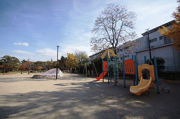 道徳公園（約500m）