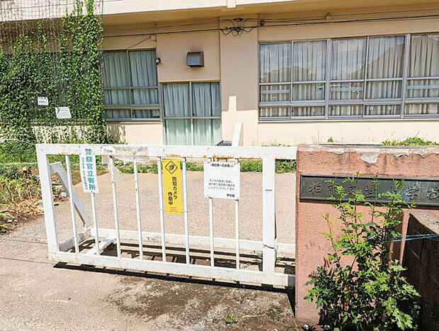 柏市立豊小学校（約585m）