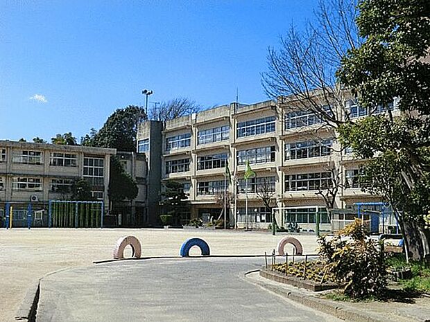 松戸市立小金小学校（約840m）
