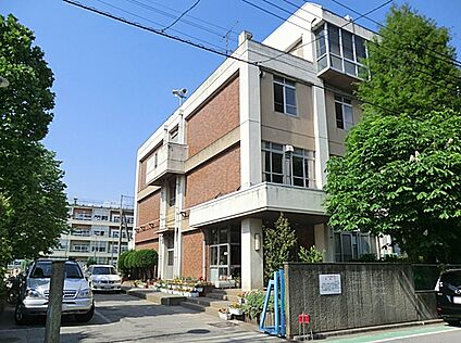 川口市立芝南小学校 127m