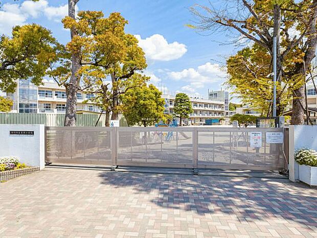 市川市立真間小学校（約620m）