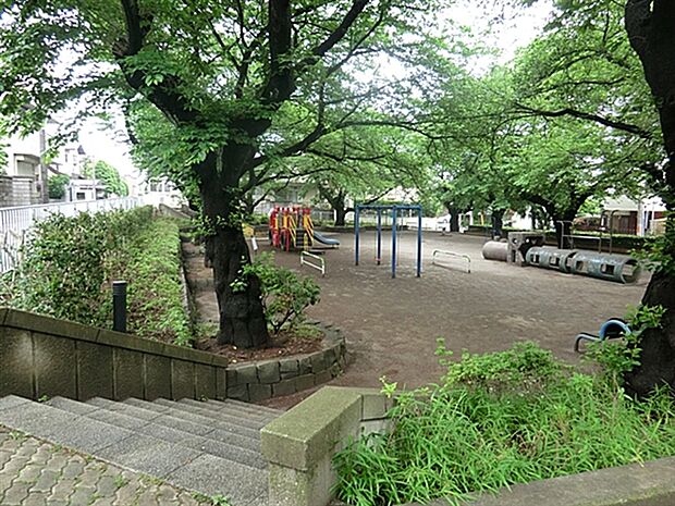 葉根木公園（約597m）