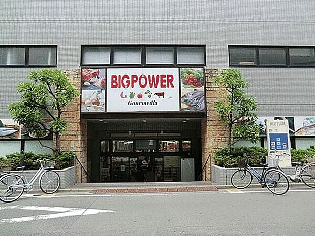 ビッグパワー新鮮湘南台市場（約891m）