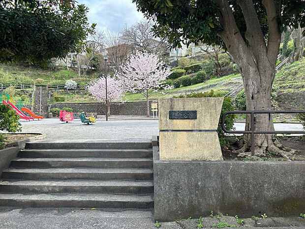 荒立公園（約259m）