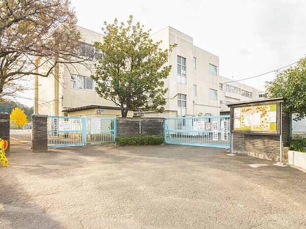 町田市立本町田東小学校(約648m)