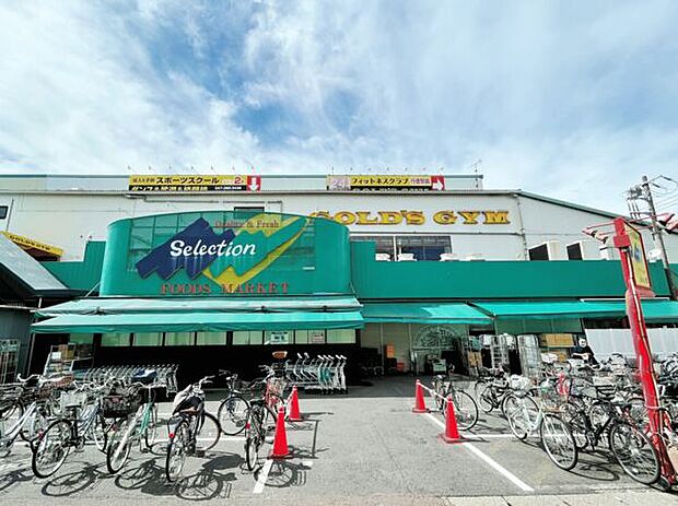 セレクション行徳店（約984m）