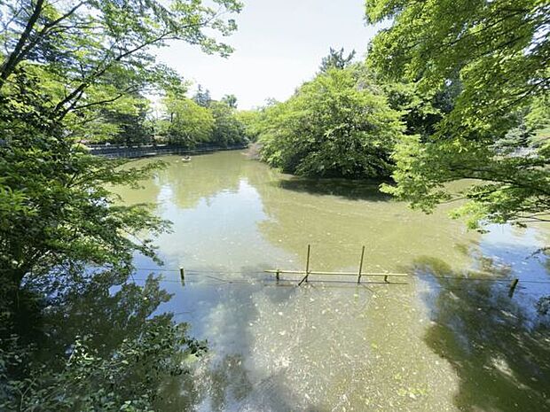 練馬区立武蔵関公園（約77m）