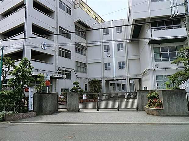 市川市立大洲中学校（約222m）