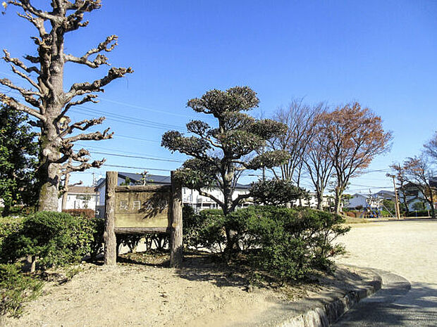 長月公園(約516m)