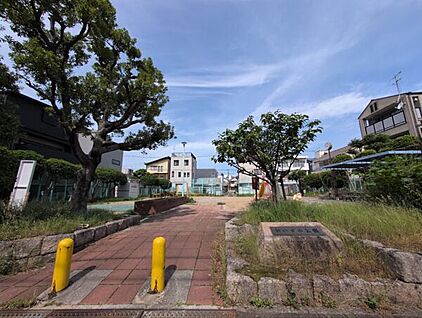 新いずみ公園 743m