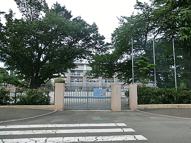 杉並区立馬橋小学校（約584m）