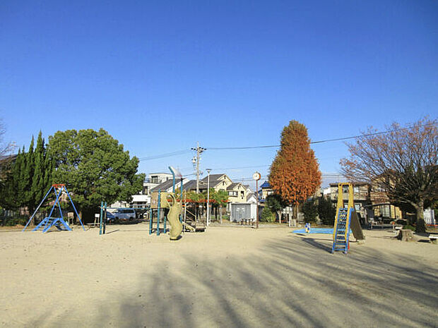 島崎公園（約142m）