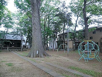 浅間神社児童遊園地 766m