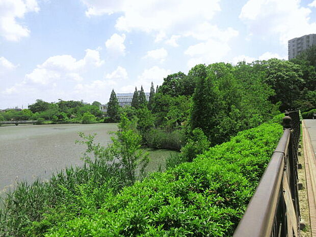 杁ヶ池公園(約1,501m)