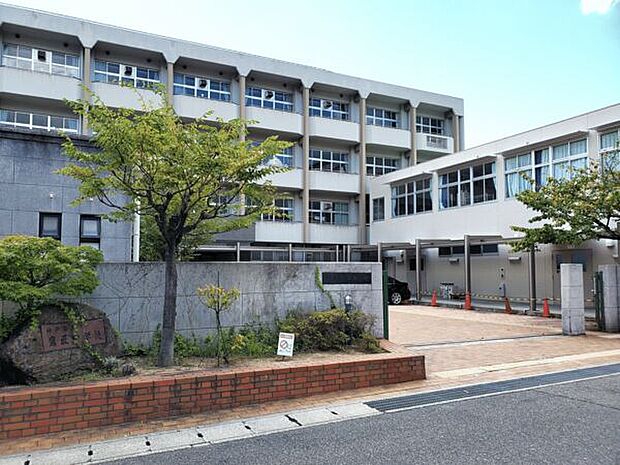 神戸市立鷹匠中学校(約658m)