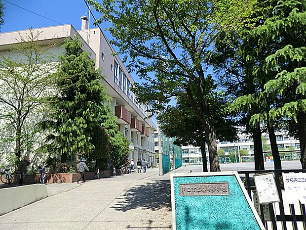 川口市立柳崎小学校（約493m）