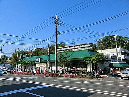 ＦＵＪＩ上中里店 1574m