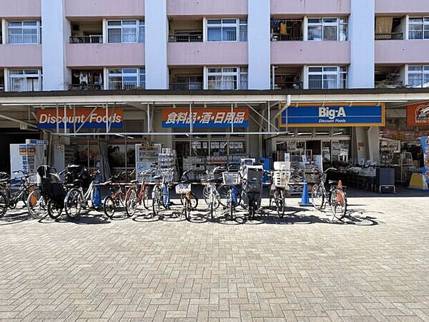ビッグ・エー 江東大島団地店(約729m)