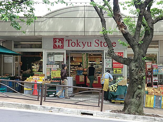 東急ストア宮崎台店(約942m)
