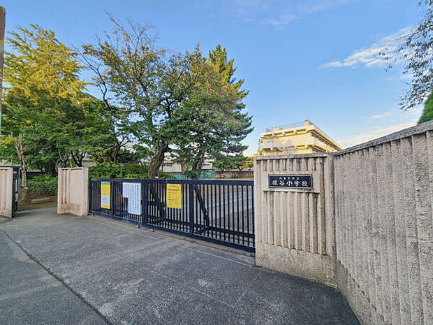 西東京市立保谷小学校(約262m)