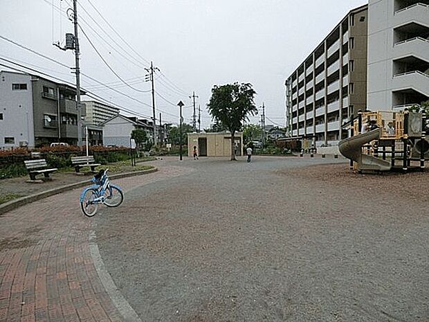 江北みどり公園(約885m)