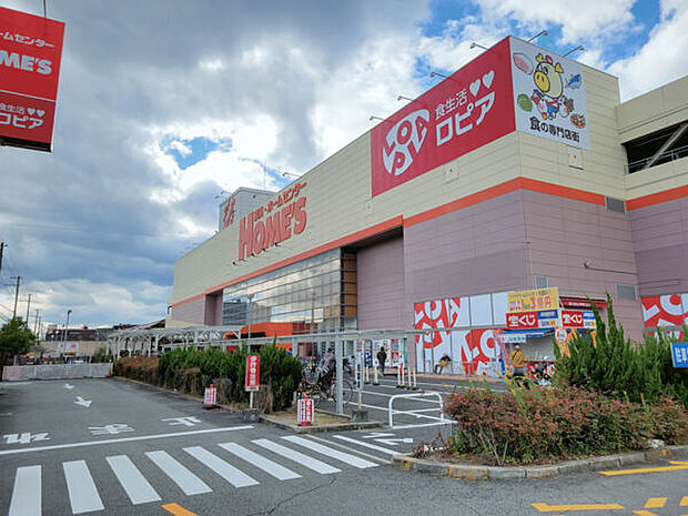 ロピア尼崎島忠ホームズ店(約1,210m)