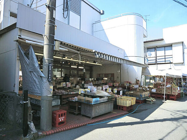 スーパーイヌヰ(約346m)