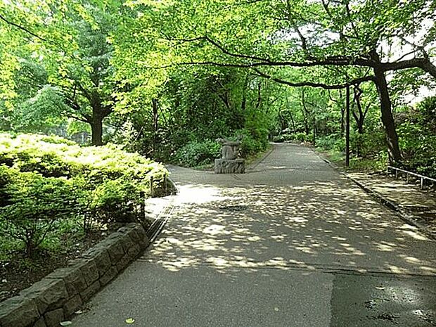 春の風公園(約564m)