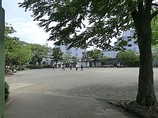 東芹が谷公園(約503m)