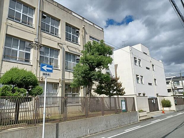 大阪市立巽小学校（約229m）