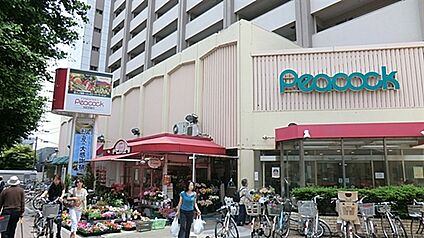 大丸ピーコック目白店 461m