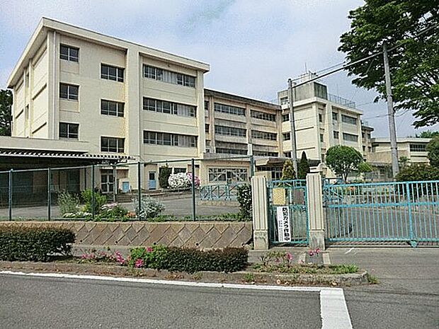 町田市立南大谷小学校（約786m）