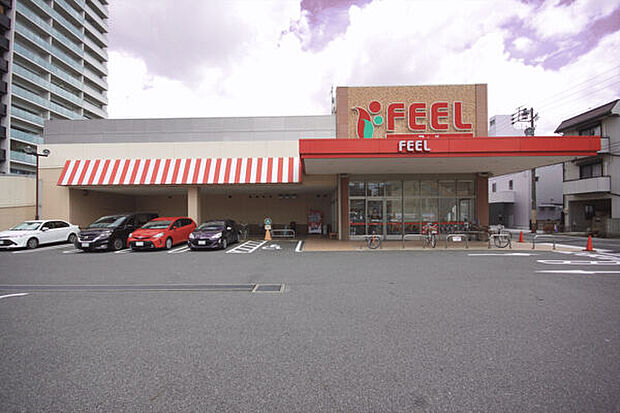 フィール花の木店(約205m)