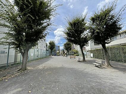 上小田中第2公園 529m