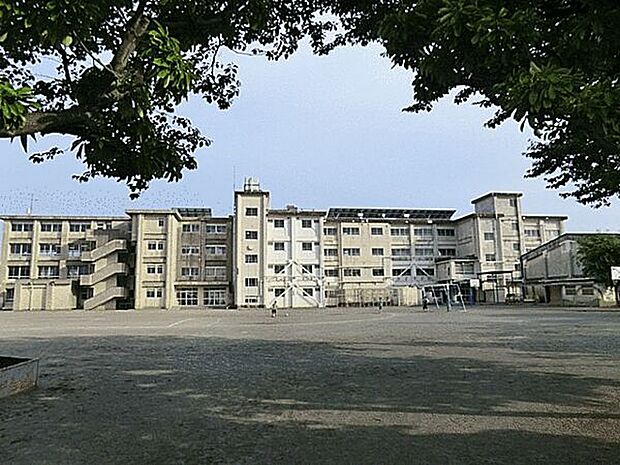 藤沢市立羽鳥小学校（約141m）