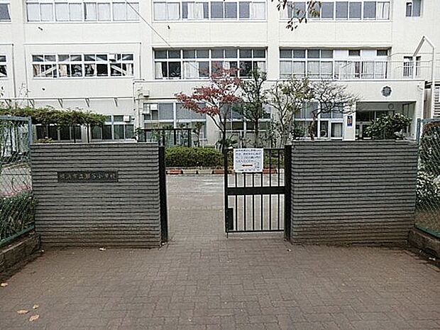 横浜市立瀬谷小学校（約814m）