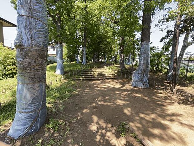 関町北憩いの森（約984m）