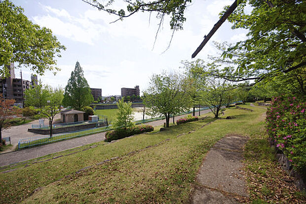 滝ノ水中央公園(約568m)