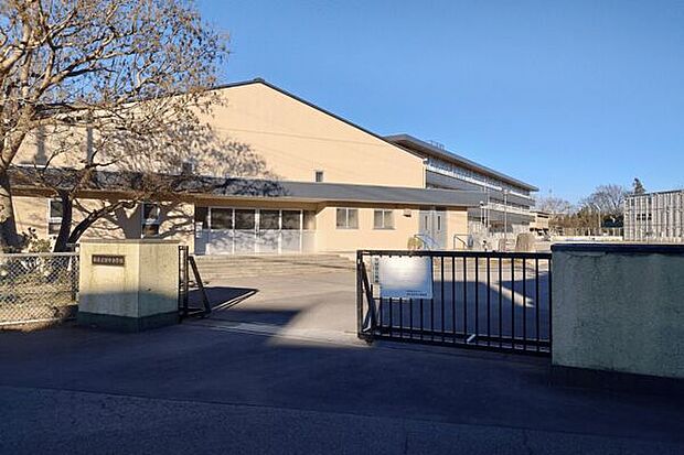 柏市立田中小学校(約466m)