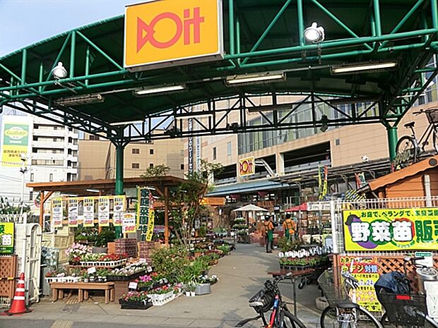 ドイト南砂店(約663m)