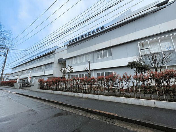 江戸川区立松江小学校(約366m)