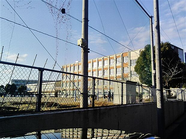 名古屋市立鳴子小学校（約767m）