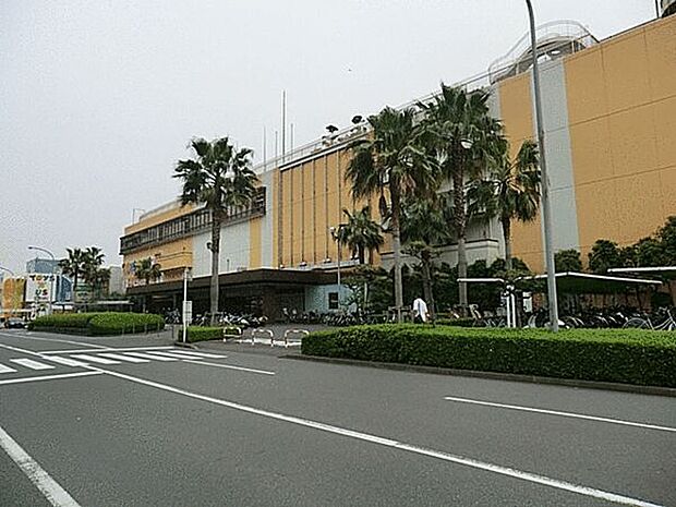 ららぽーとTOKYOBAY（約555m）