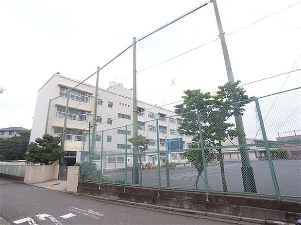 横浜市立矢部小学校(約207m)