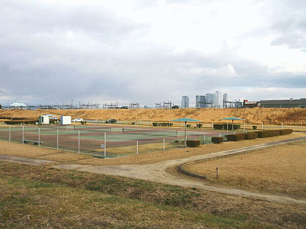 枇杷島橋緑地（約681m）