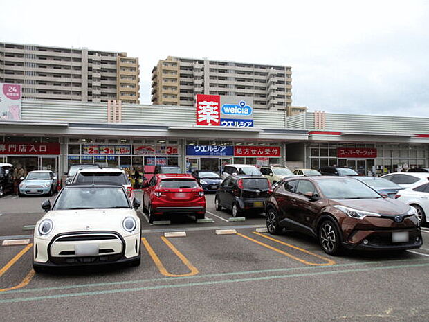 ウエルシア徳川明倫店（約573m）