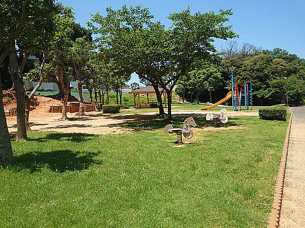 今池公園（約905m）